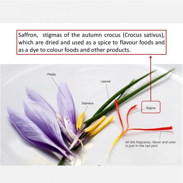 Description info saffron